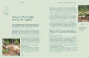 Buchcover und Innenansicht für das Buch: Mehr Power für dein Gemüse