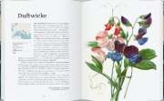 Buchcover und Innenansicht für das Buch: The Plant Hunters Atlas
