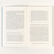 Buchcover und Innenansicht für das Buch: Wie Synchronität die Seele heilt