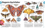 Buchcover und Innenansicht für das Buch: Unsere Welt in 1000 Bildern. Insekten