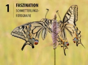 Buchcover und Innenansicht für das Buch: Schmetterlinge - so gelingen faszinierende Fotos