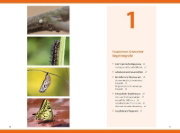 Buchcover und Innenansicht für das Buch: Schmetterlinge - so gelingen faszinierende Fotos