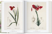 Buchcover und Innenansicht für das Buch: Redouté. The Book of Flowers