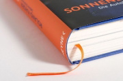 Buchcover und Innenansicht für das Buch: Sonnenseite