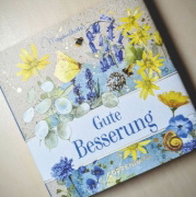 Buchcover und Innenansicht für das Buch: Gute Besserung