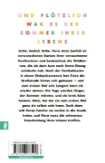 Buchcover und Innenansicht für das Buch: Im Sommer der Wildbienen