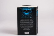 Buchcover und Innenansicht für das Buch: The Shadow of the Gods (The Bloodsworn Saga 1)