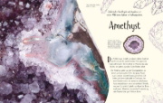 Buchcover und Innenansicht für das Buch: Wundervolle Welt. Erde