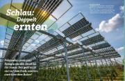 Buchcover und Innenansicht für das Buch: WAS IST WAS Grüne Energie. Power für die Zukunft