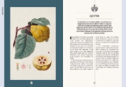 Buchcover und Innenansicht für das Buch: Der Garten des Apothekers