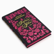 Buchcover und Innenansicht für das Buch: Romeo und Julia