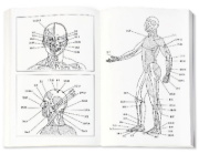 Buchcover und Innenansicht für das Buch: Acupressure's Potent Points