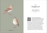 Buchcover und Innenansicht für das Buch: A Year of Birdsong