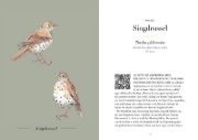 Buchcover und Innenansicht für das Buch: A Year of Birdsong