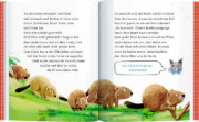 Buchcover und Innenansicht für das Buch: Emil Einstein (Leseanfänger, Bd. 1)