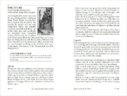 Buchcover und Innenansicht für das Buch: The Modern Witchcraft Book of Tarot