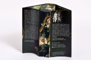Buchcover und Innenansicht für das Buch: Shield of Sparrows