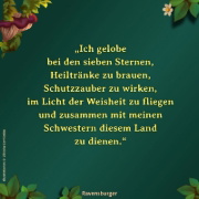Buchcover und Innenansicht für das Buch: Hedgewitch Book 1