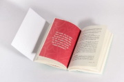 Buchcover und Innenansicht für das Buch: Zwischen Nein und Nähe