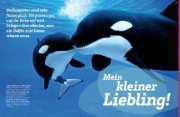 Buchcover und Innenansicht für das Buch: WAS IST WAS Delfine. Immer im Team