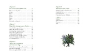 Buchcover und Innenansicht für das Buch: Der Garten der Grünen Magie