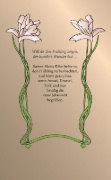 Buchcover und Innenansicht für das Buch: Frühling