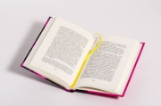 Buchcover und Innenansicht für das Buch: Bye Bye Lolita