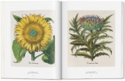 Buchcover und Innenansicht für das Buch: A Garden Eden. Masterpieces of Botanical Illustration