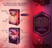 Buchcover und Innenansicht für das Buch: Gilded Wings