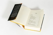 Buchcover und Innenansicht für das Buch: Elemental