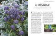 Buchcover und Innenansicht für das Buch: Wintergemüse anbauen