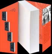 Buchcover und Innenansicht für das Buch: After We Fell (3)