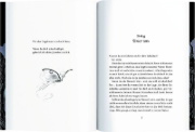 Buchcover und Innenansicht für das Buch: Die Schule der außergewöhnlichen Feen (Bd. 1)