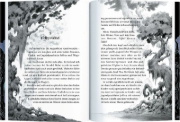 Buchcover und Innenansicht für das Buch: Die Schule der außergewöhnlichen Feen (Bd. 1)