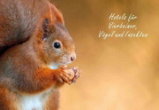 Buchcover und Innenansicht für das Buch: Ideenbuch Nützlingshotels