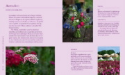 Buchcover und Innenansicht für das Buch: Nachhaltige Schnittblumen