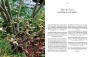 Buchcover und Innenansicht für das Buch: Transparenzschnitt