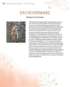Buchcover und Innenansicht für das Buch: Heilsames Räuchern