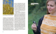 Buchcover und Innenansicht für das Buch: Tierisch viel los!