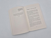 Buchcover und Innenansicht für das Buch: Phönixkrone