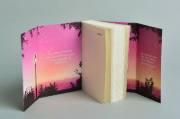 Buchcover und Innenansicht für das Buch: The Two Lives of Lydia Bird