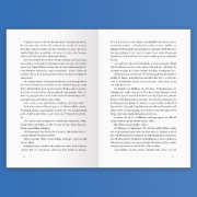 Buchcover und Innenansicht für das Buch: Rules of the Game, Book 1: Offside