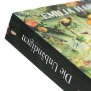 Buchcover und Innenansicht für das Buch: Weyward