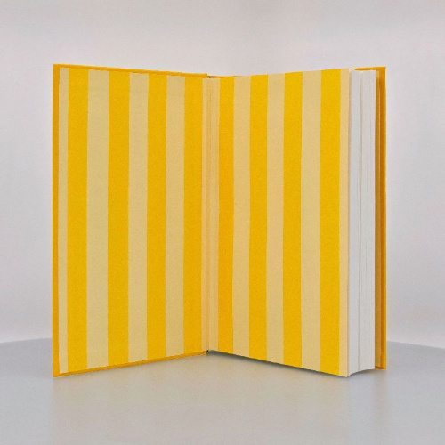 Buchcover und Innenansicht für das Buch: In 25 Lektionen zum Glück