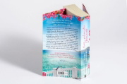 Buchcover und Innenansicht für das Buch: Unser schönster Sommer