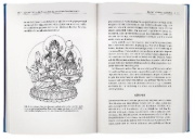 Buchcover und Innenansicht für das Buch: Tantra illuminated