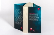 Buchcover und Innenansicht für das Buch: For Better. Ossessione