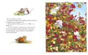 Buchcover und Innenansicht für das Buch: A year in Brambly Hedge