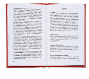 Buchcover und Innenansicht für das Buch: Machtübernahme