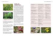 Buchcover und Innenansicht für das Buch: Biogärten gestalten